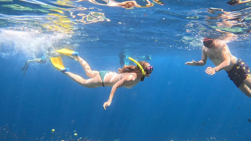 From Ceningan: Snorkeling With Turtle Experience - Common questions