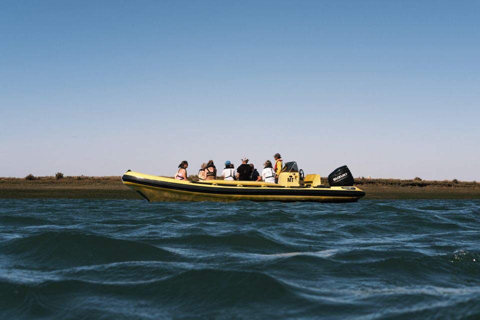 From Faro: Ria Formosa Eco Tour Guided by Marine Biologist - Fauna and Flora Boardwalk