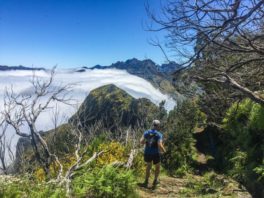 From Funchal: Folhadal Trail Running Tour (Moderate) - Common questions