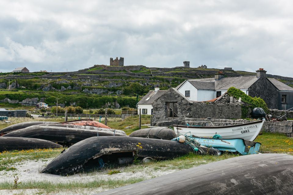 From Galway: Aran Islands & Cliffs of Moher Full-Day Trip - Common questions