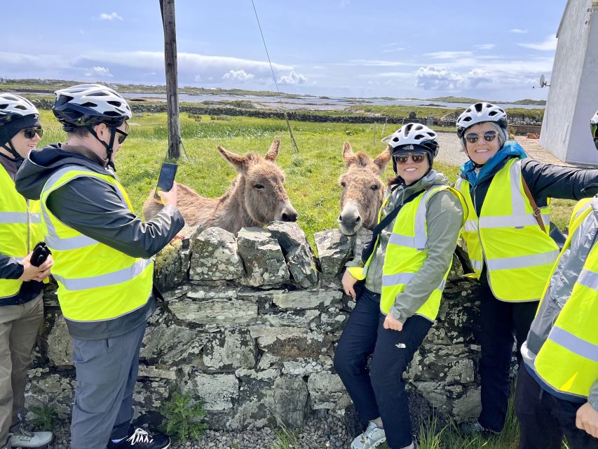 From Galway: Electric Fat Bike Connemara Private Tour - Common questions