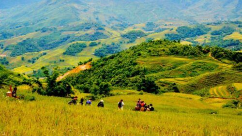 From Hanoi: 2-Day Overnight Sapa Tour by Luxury Transfer - Last Words