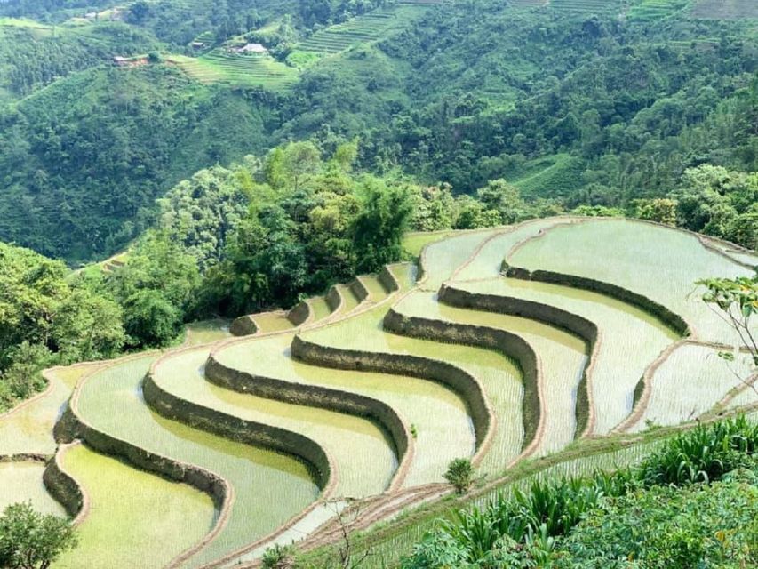 From Hanoi: Ha Giang Guided 3-Day Trip - Customer Experience and Reviews
