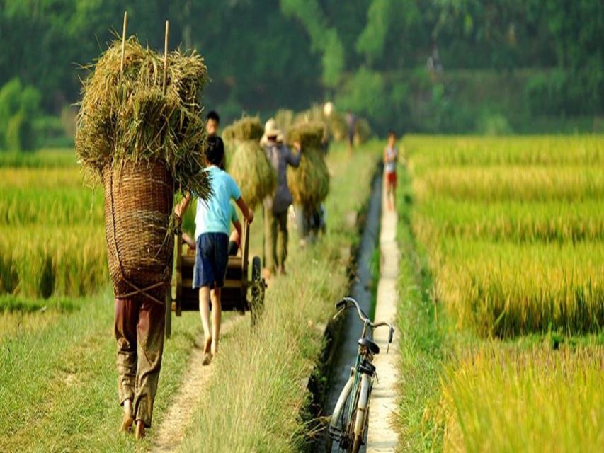 From Hanoi: Mai Chau Valley & Hill Tribes 2-Day Trek Tour - Last Words