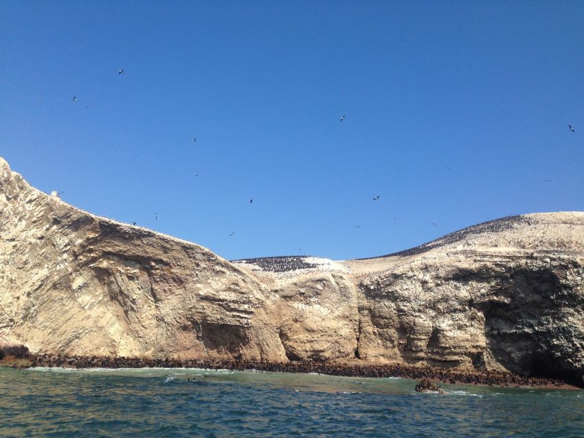 From Lima: Ballestas Islands, Huacachina, and Vineyard Tour - Last Words