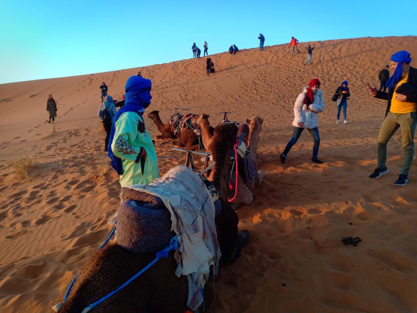 From Marrakech: 3-Day Trip to Fes via Merzouga Desert - Common questions