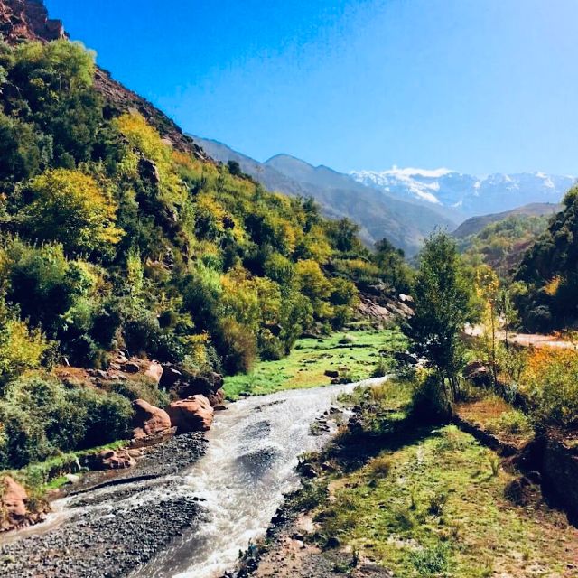 From Marrakech: Atlas Mountains & Toubkal Museum Day Tour - Experience Highlights and Itinerary