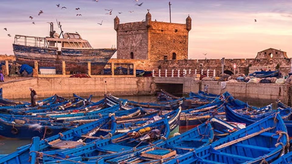 From Marrakech : Essaouira Full-Day Private Trip - Last Words
