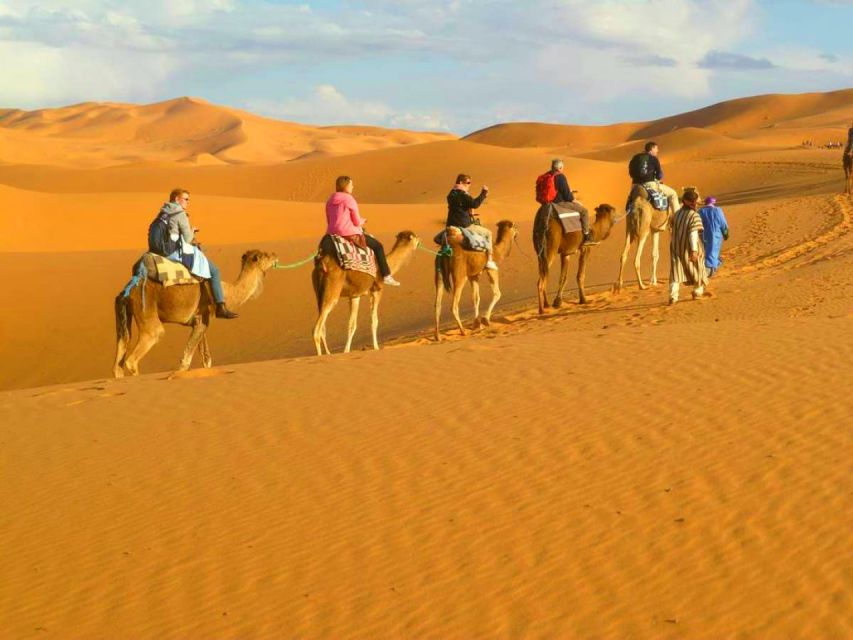 From Marrakech: Private 3-Day Tour to Fes via Merzouga - Last Words