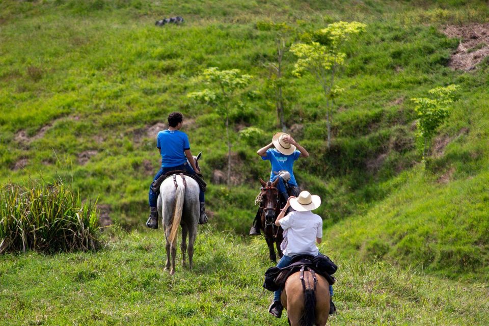 From Medellin; (All-In) The Real Horseback Ranch Experience - Last Words