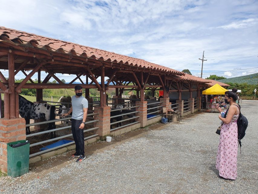 From Medellín: El Peñón Rock and Guatapé Town Private Tour - Common questions