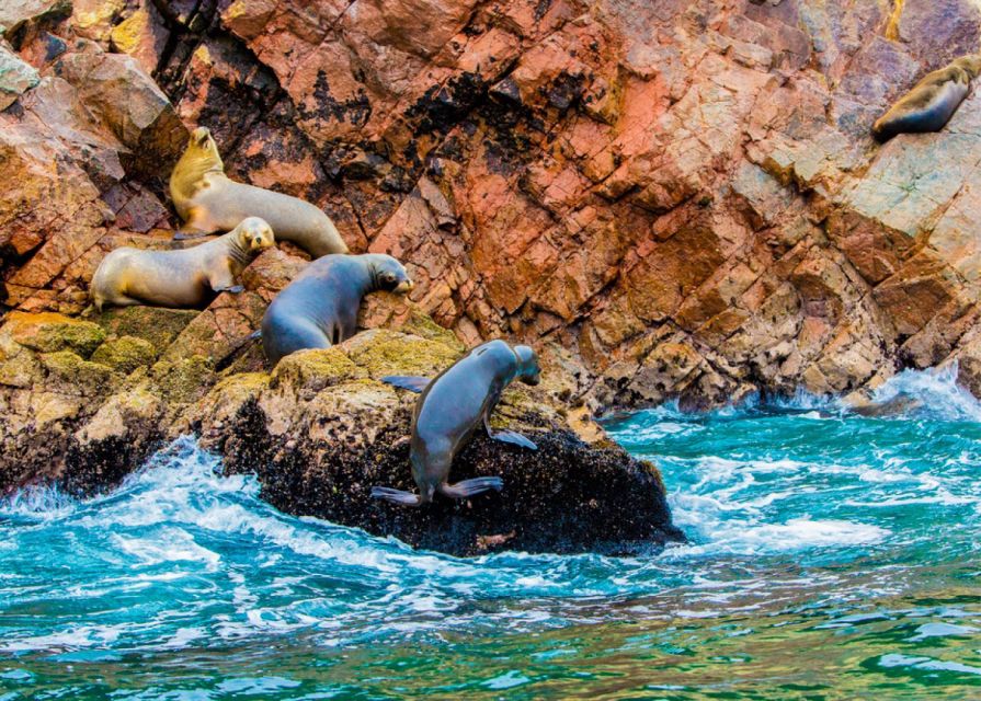 From Paracas: Ballestas Islands Guided Boat Tour - Customer Feedback