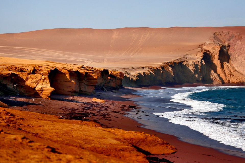 From Paracas: Ballestas Islands & Paracas National Reserve - Common questions