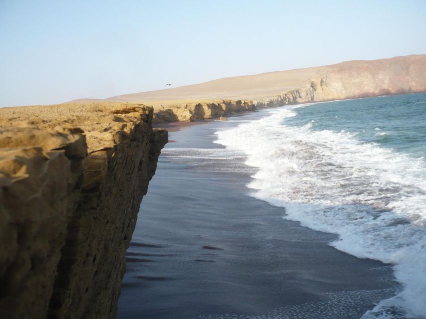 From Paracas: Private Tours Paracas National Reserve - Last Words