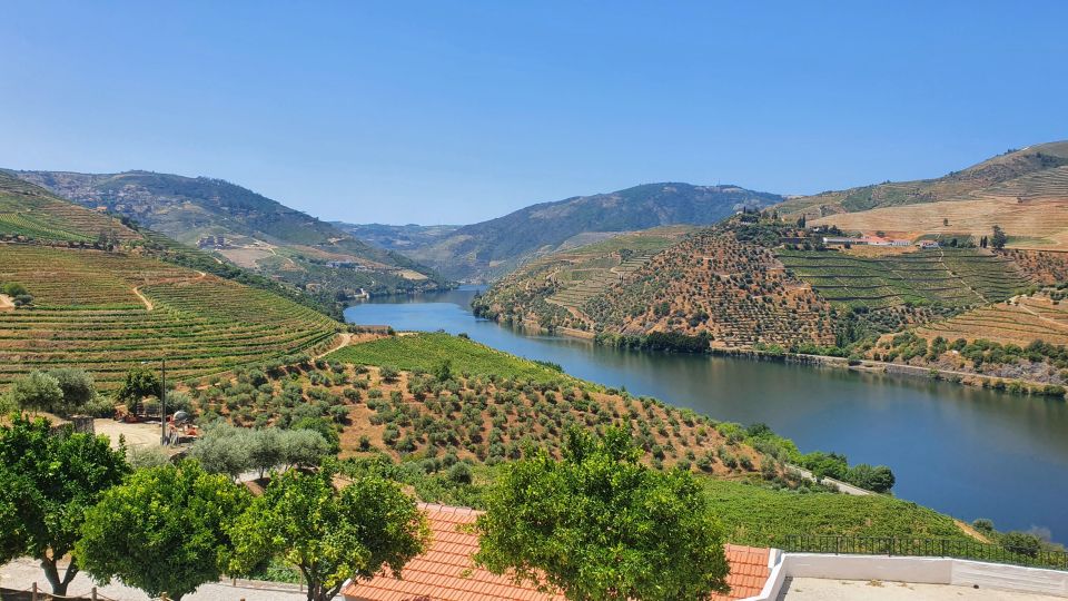 From Porto Douro Valley Tour Wine Tasting River Cruise Lunch - Common questions