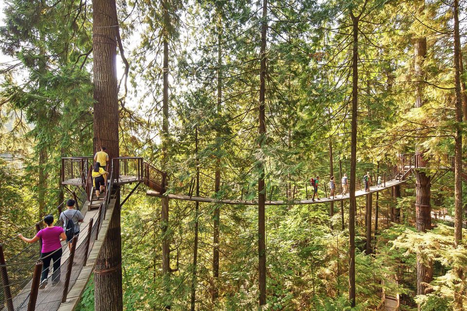 From Vancouver: Capilano Suspension Bridge & Grouse Mountain - Last Words