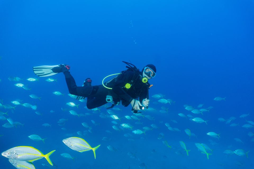 Funchal: Certified Scuba Diving, Guided Tour - Cancellation and Payment Terms