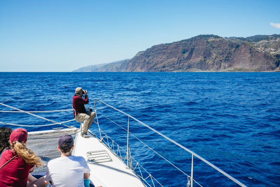 Funchal: Dolphin and Whale Watching by Luxury Catamaran - Last Words