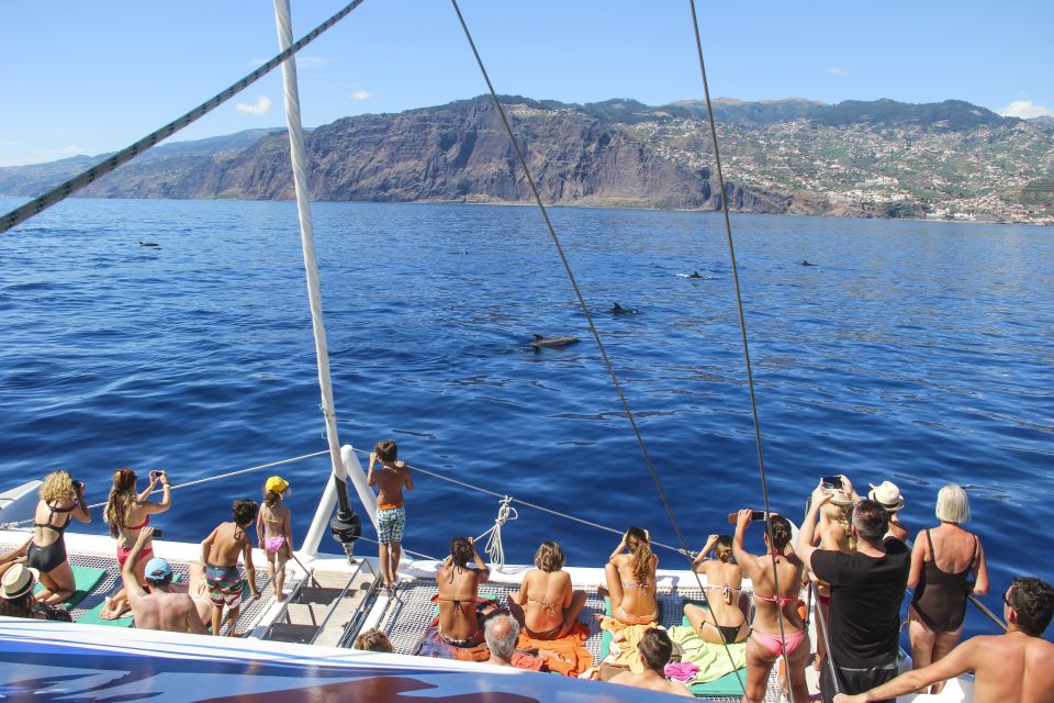 Funchal: Pico Arieiro, Cristo Rei and Dolphins Watching - Last Words