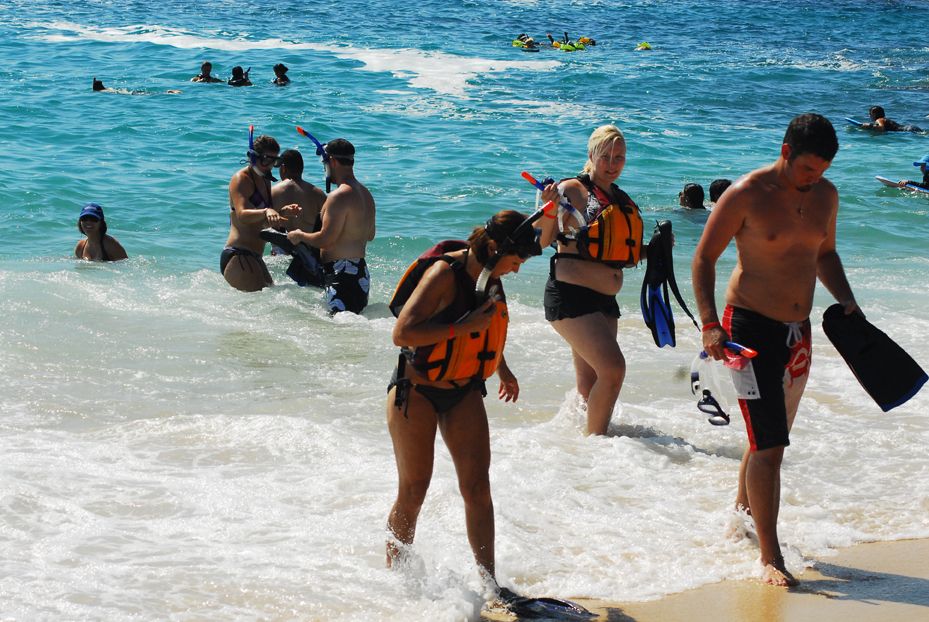 Half Day Guided Snorkel Tour in Los Cabos - Recommended Snorkeling Spots