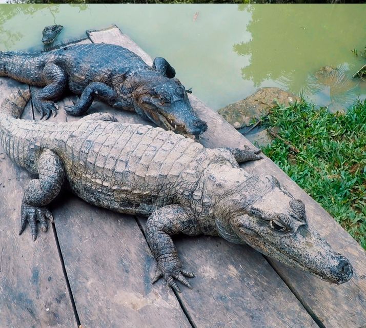 Iquitos: 6-Hour Wonderful Wildlife Guided Tour - Last Words