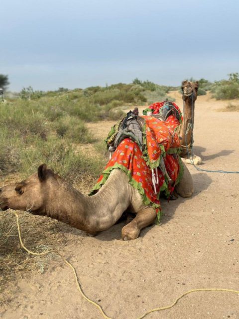 JAISALMER DESERT EXPERIENCE : SLEEPING UNDER THE STAR - Common questions