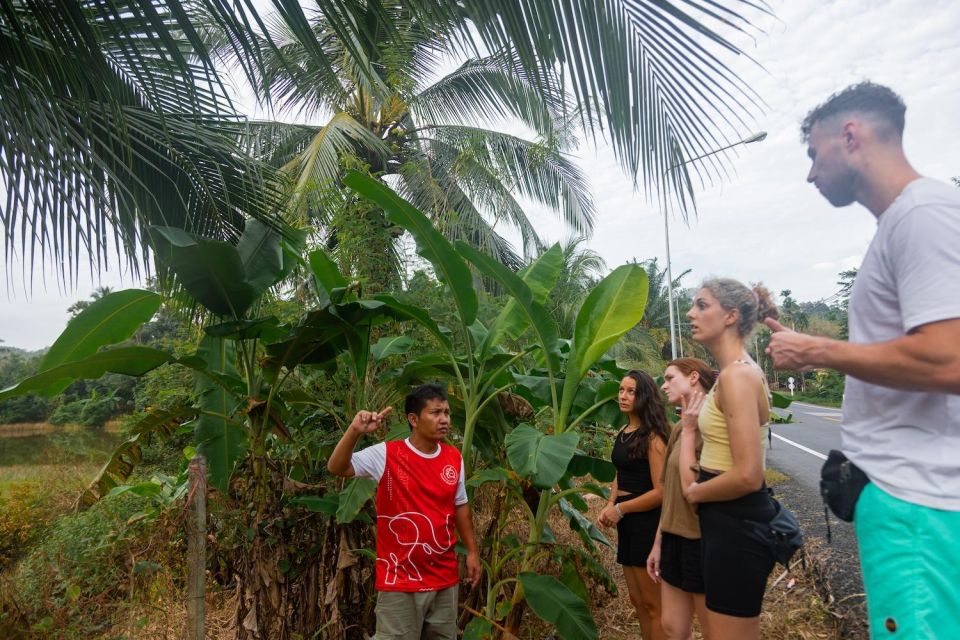 Khao Lak Eco Safari: Elephant Sanctuary Small Group Tour - Last Words