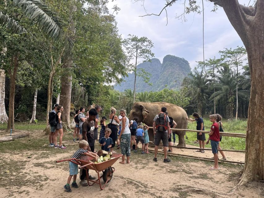 Khao Lak: Khao Sok Elephant Sanctuary and Night Jungle Walk - Last Words