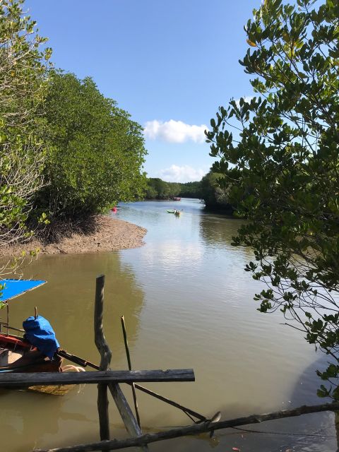 Ko Lanta: Half-Day Mangrove Kayaking Tour With Lunch - Last Words