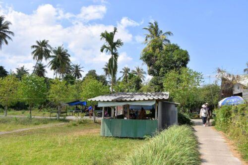 Krabi: Mangrove Magic & Koh Klang Charm by Longtail Boat - Common questions