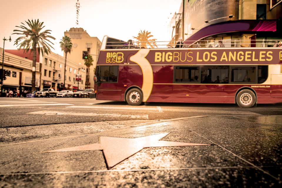 Los Angeles: TMZ Celebrity Tour & 1-Day Hop-on Hop-off Tour - Last Words