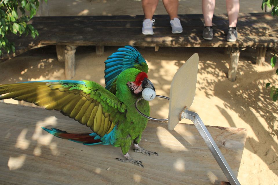 Los Cabos: Animal Sanctuary Tour - Common questions