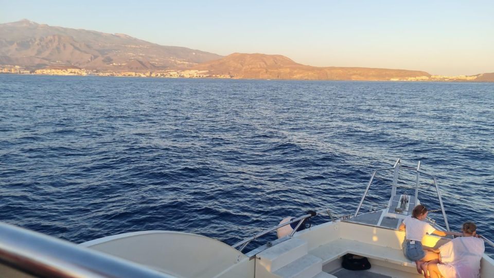Los Cristianos: Sunset Tour Ecoyacht Whales Watching - Common questions