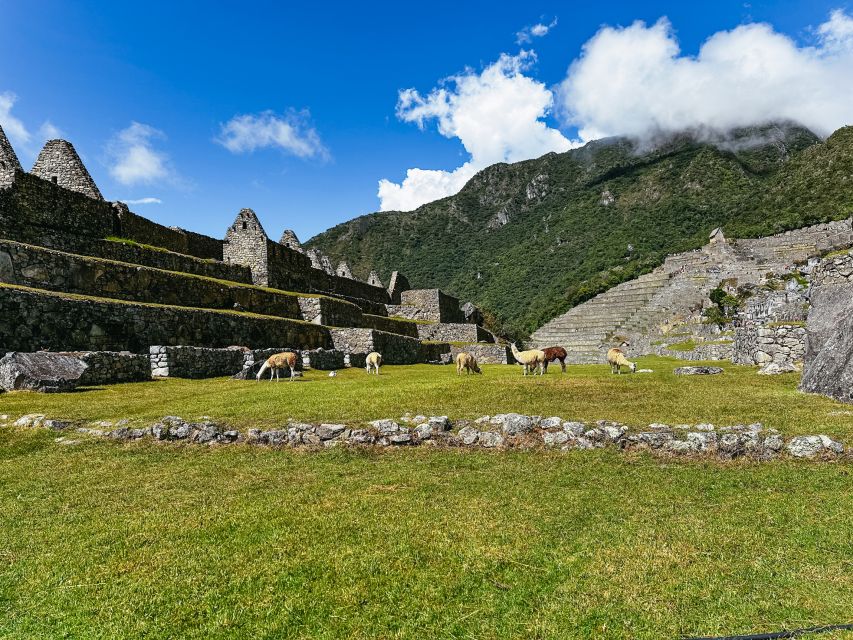 Machu Picchu: Standard Admission Ticket - Last Words