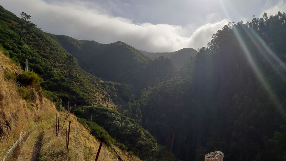 Madeira: Private Levada Ponta Do Pargo Walk - Common questions