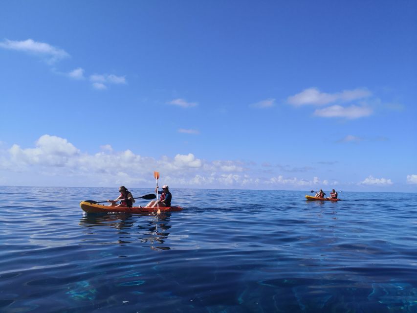 Madeiras Marine Reserve: Kayak & Snorkelling Trip - Last Words