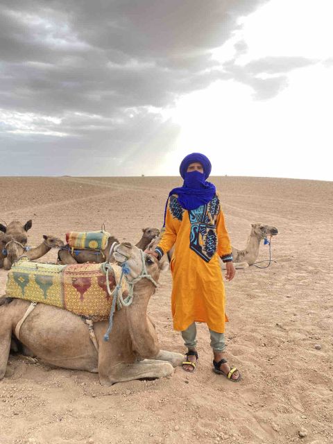 Marrakech: Camel, Dinner Show, & Optional Quad Desert Trip - Last Words