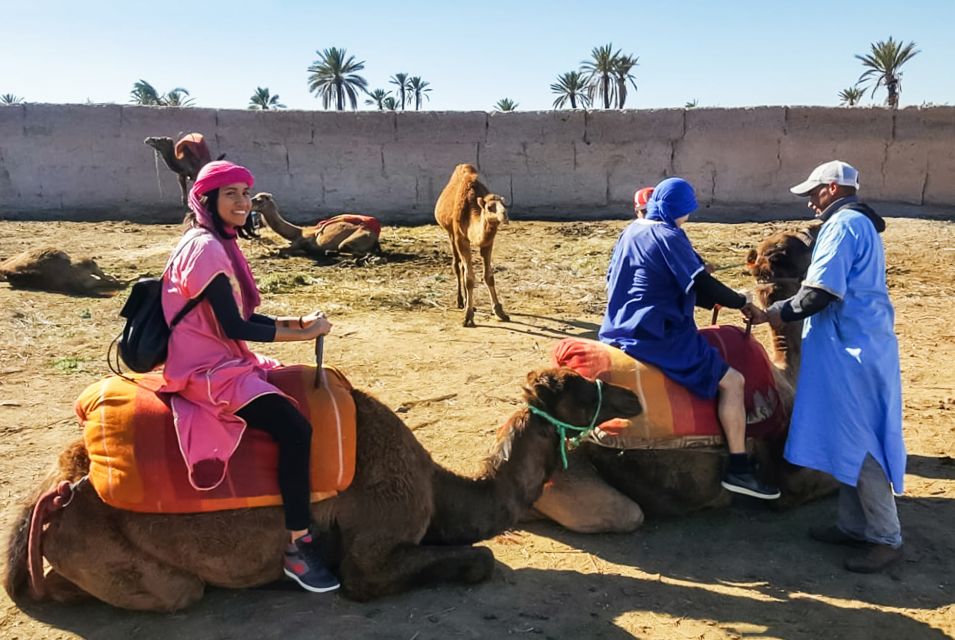 Marrakech: Camel Ride in the Oasis Palmeraie - Last Words