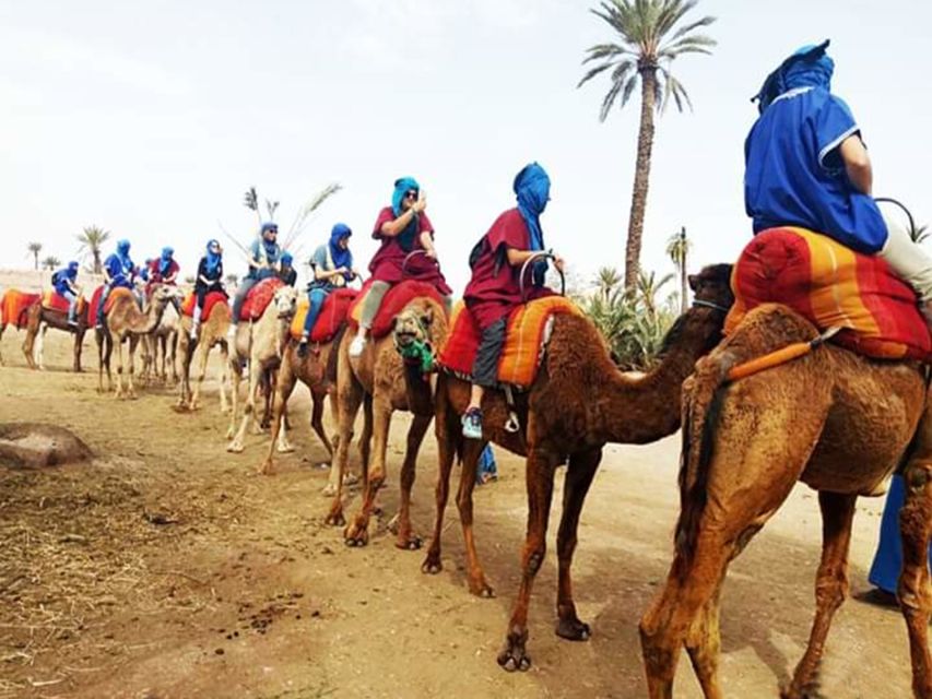 Marrakech: Half-Day Tour With Buggy Ride, Camel Ride and Spa - Last Words