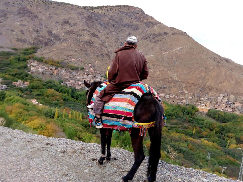 Marrakech: Lunch, Camel Ride, Transport, Atlas Mountain Trip - Last Words