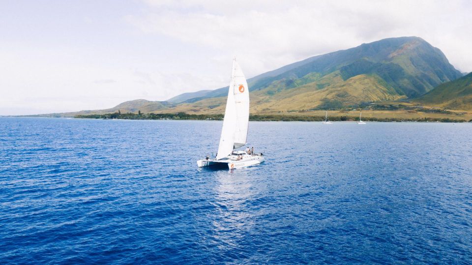 Maui: Midday Sail With the Whales MāʻAlaea Harbor - Last Words
