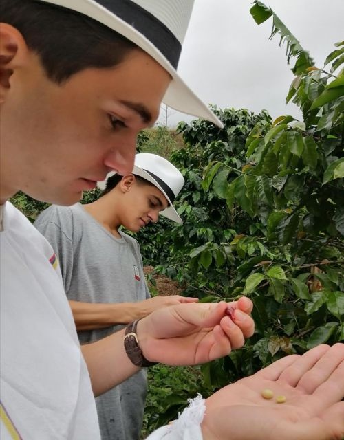 Medellín Coffee Farm Tour With Trolley and Cable Car Ride - Last Words