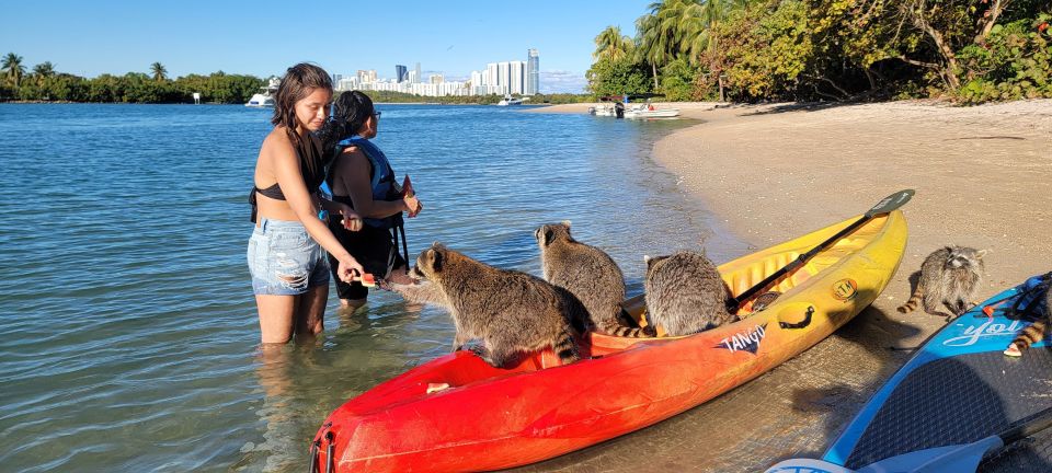 Miami: Island Snorkeling by XXL Stand Up Paddle Board - Last Words