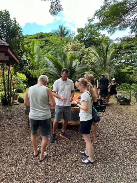 Oahu: Highlights of Oahu Small Group Tour - Common questions