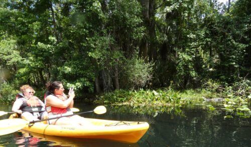 Orlando: Small Group Rock Springs Run Kayak Tour - Equipment Provided