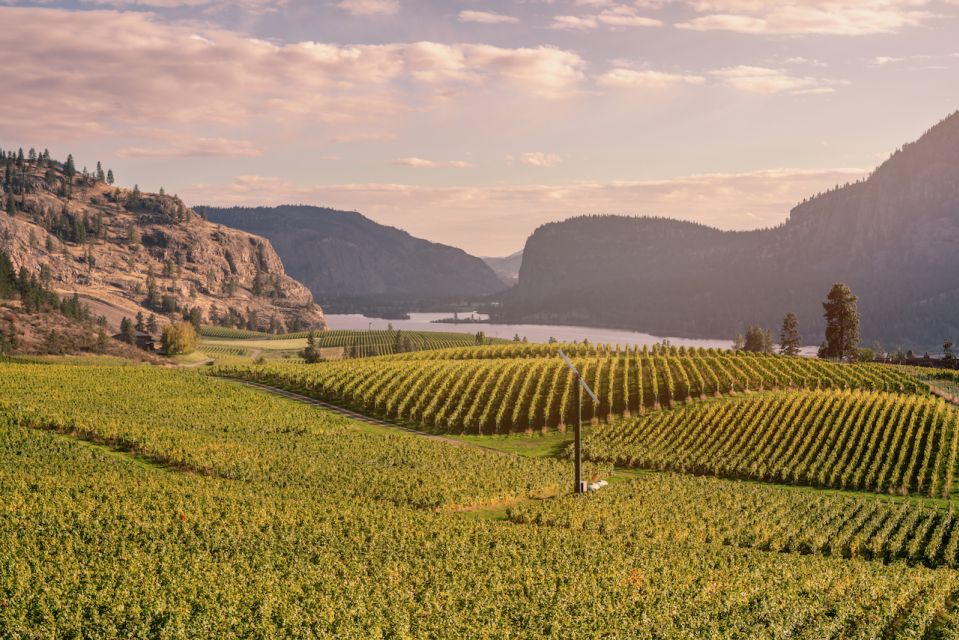 Penticton Wineries Tour - Last Words