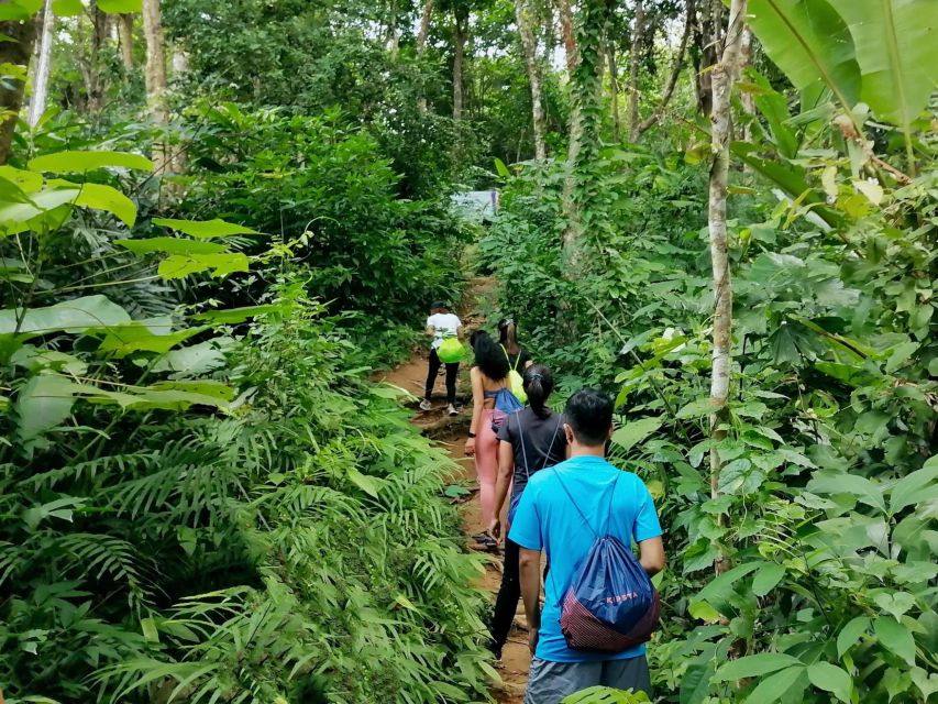 Phuket: Hiking to Sunrise - Common questions