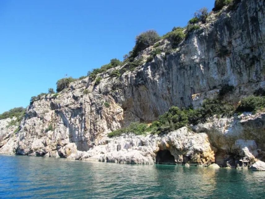 Plavnik Island & Wild Bays Boat Ride With Captain Bobo (4h) - Common questions