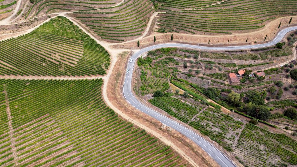 Porto: Douro Valley: an Authentic Wine Experience With Lunch - Last Words