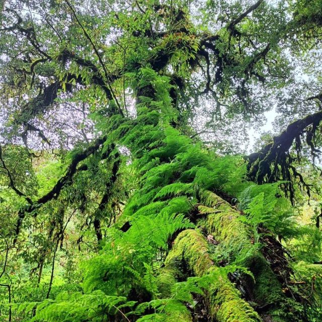 Private Day Tour Doi Inthanon Nationol Park ( No Trekking ) - Last Words